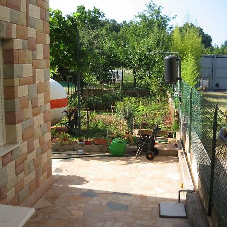 Apartments Sandra Novigrad Istria المظهر الخارجي الصورة